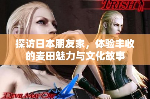 探访日本朋友家，体验丰收的麦田魅力与文化故事