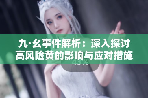 九·幺事件解析：深入探讨高风险黄的影响与应对措施