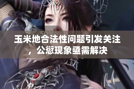 玉米地合法性问题引发关注，公愆现象亟需解决