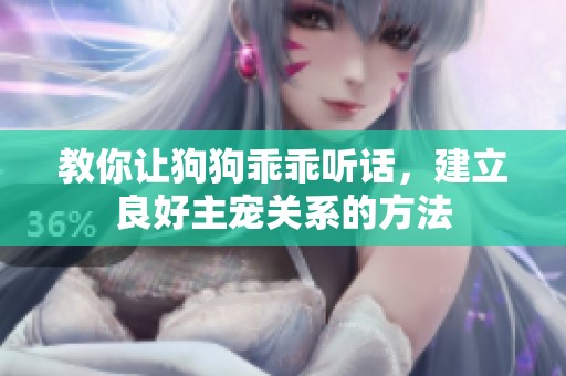 教你让狗狗乖乖听话，建立良好主宠关系的方法