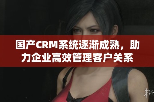 国产CRM系统逐渐成熟，助力企业高效管理客户关系