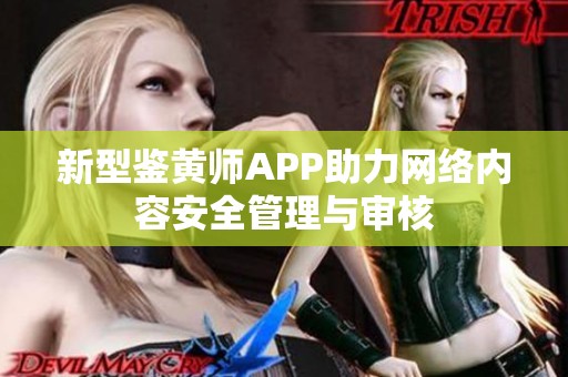 新型鉴黄师APP助力网络内容安全管理与审核