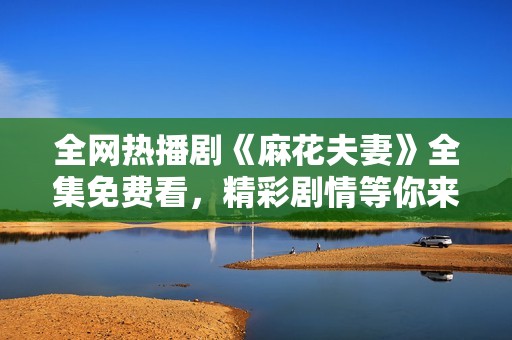 全网热播剧《麻花夫妻》全集免费看，精彩剧情等你来欣赏