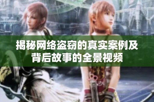 揭秘网络盗窃的真实案例及背后故事的全景视频