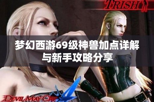 梦幻西游69级神兽加点详解与新手攻略分享