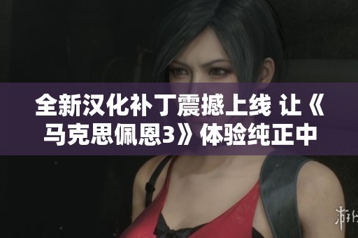 全新汉化补丁震撼上线 让《马克思佩恩3》体验纯正中文乐趣 全新汉化补丁震撼上线 让《马克思佩恩3》体验纯正中文乐趣