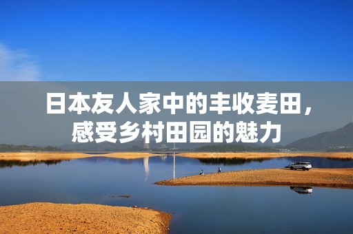 日本友人家中的丰收麦田，感受乡村田园的魅力