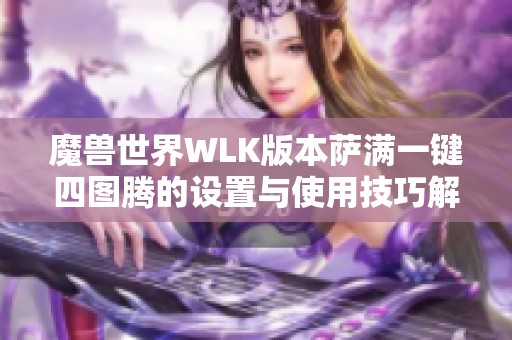 魔兽世界WLK版本萨满一键四图腾的设置与使用技巧解析