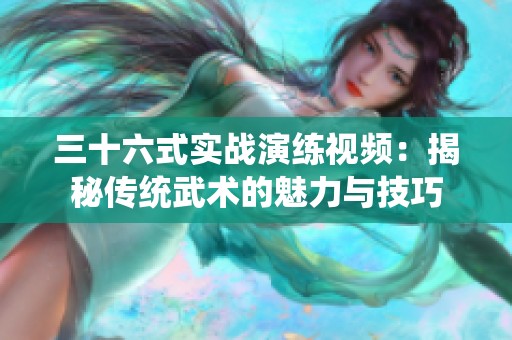 三十六式实战演练视频：揭秘传统武术的魅力与技巧