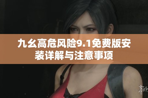 九幺高危风险9.1免费版安装详解与注意事项