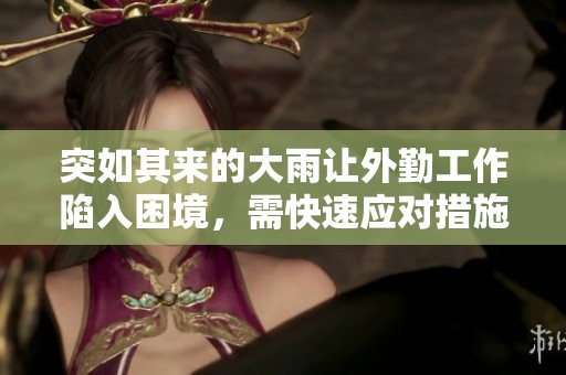 突如其来的大雨让外勤工作陷入困境，需快速应对措施