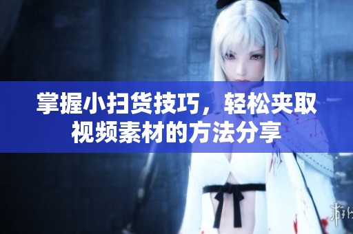 掌握小扫货技巧，轻松夹取视频素材的方法分享