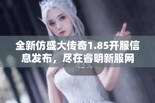 全新仿盛大传奇1.85开服信息发布，尽在睿明新服网