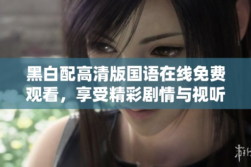 黑白配高清版国语在线免费观看，享受精彩剧情与视听盛宴