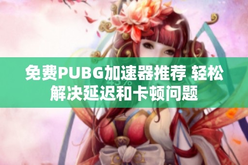 免费PUBG加速器推荐 轻松解决延迟和卡顿问题