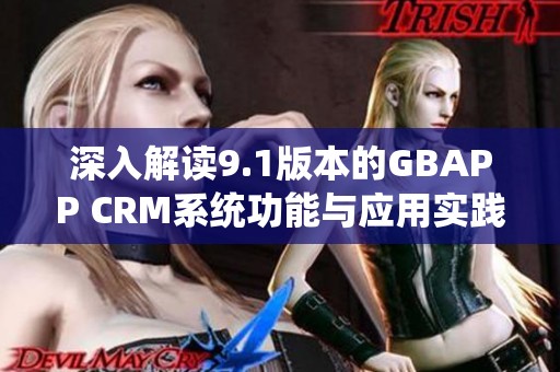 深入解读9.1版本的GBAPP CRM系统功能与应用实践