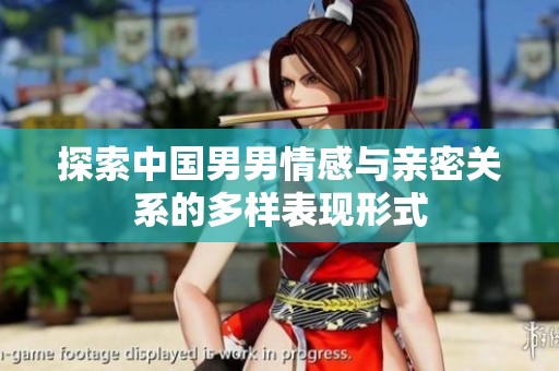探索中国男男情感与亲密关系的多样表现形式