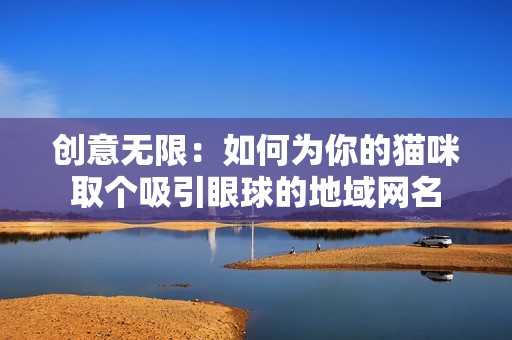 创意无限：如何为你的猫咪取个吸引眼球的地域网名