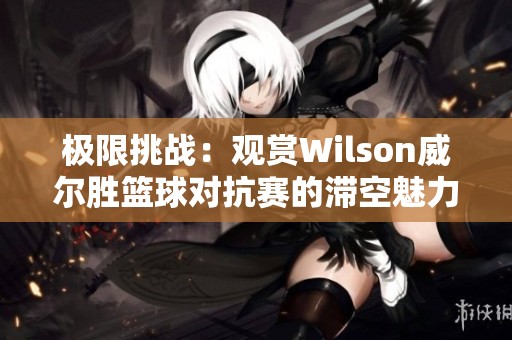 极限挑战：观赏Wilson威尔胜篮球对抗赛的滞空魅力与瞬间精彩