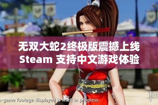 无双大蛇2终极版震撼上线Steam 支持中文游戏体验未来可期