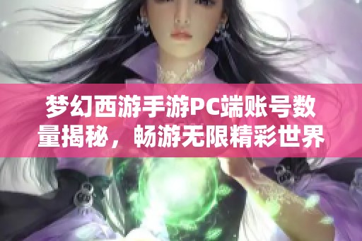 梦幻西游手游PC端账号数量揭秘，畅游无限精彩世界