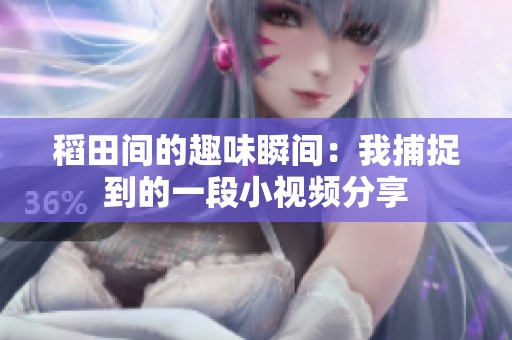 稻田间的趣味瞬间：我捕捉到的一段小视频分享