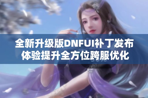 全新升级版DNFUI补丁发布 体验提升全方位跨服优化服务 全新升级版DNFUI补丁发布 体验提升全方位跨服优化服务