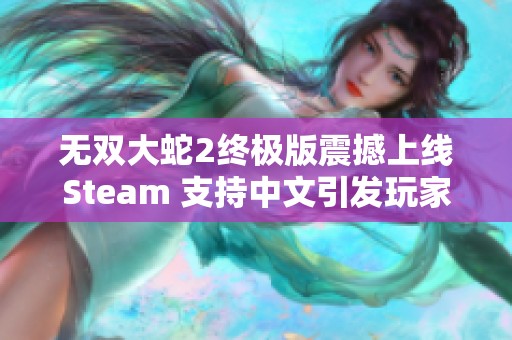 无双大蛇2终极版震撼上线Steam 支持中文引发玩家热潮