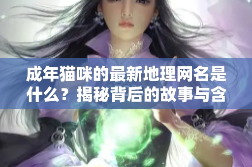 成年猫咪的最新地理网名是什么？揭秘背后的故事与含义