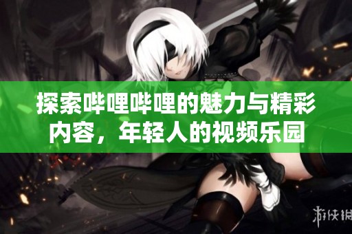 探索哔哩哔哩的魅力与精彩内容，年轻人的视频乐园