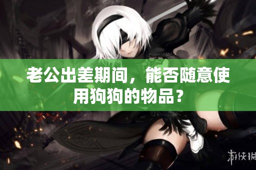 老公出差期间，能否随意使用狗狗的物品？