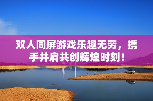 双人同屏游戏乐趣无穷，携手并肩共创辉煌时刻！