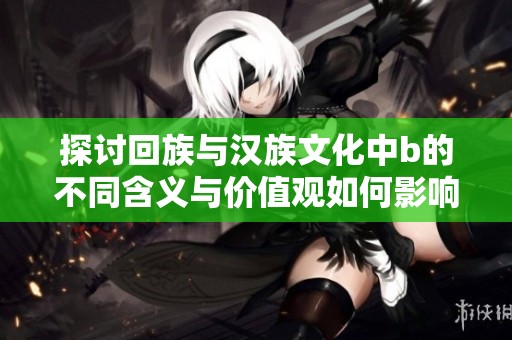 探讨回族与汉族文化中b的不同含义与价值观如何影响社会交融