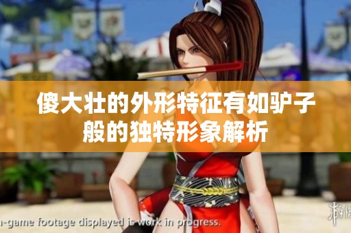 傻大壮的外形特征有如驴子般的独特形象解析