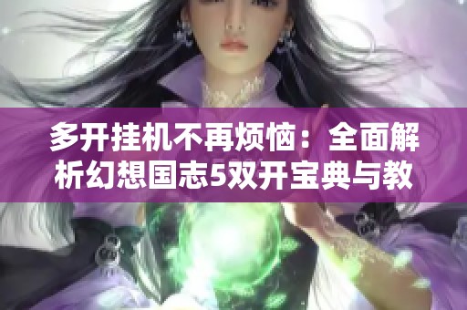 多开挂机不再烦恼：全面解析幻想国志5双开宝典与教程