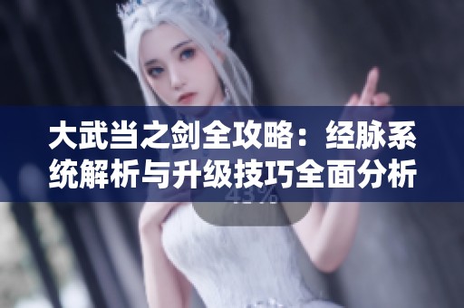 大武当之剑全攻略:经脉系统解析与升级技巧全面分析 大武当之剑全攻略:经脉系统解析与升级技巧全面分析