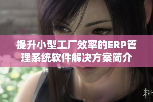 提升小型工厂效率的ERP管理系统软件解决方案简介