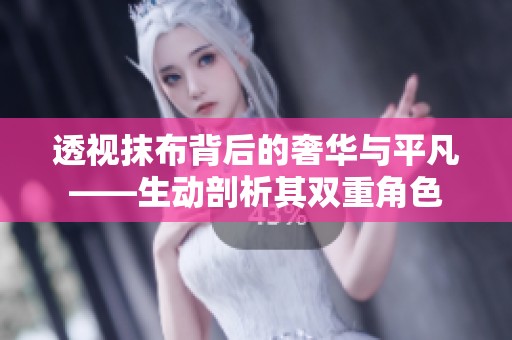 透视抹布背后的奢华与平凡——生动剖析其双重角色