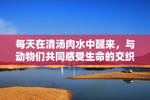 每天在清汤肉水中醒来，与动物们共同感受生命的交织与思考
