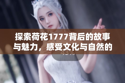 探索荷花1777背后的故事与魅力，感受文化与自然的完美结合